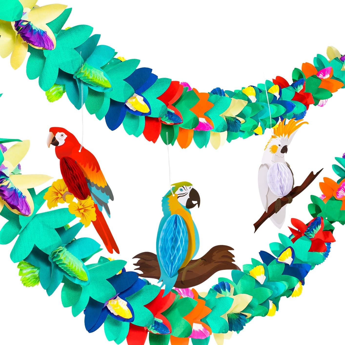 nido d'uccello per finestra