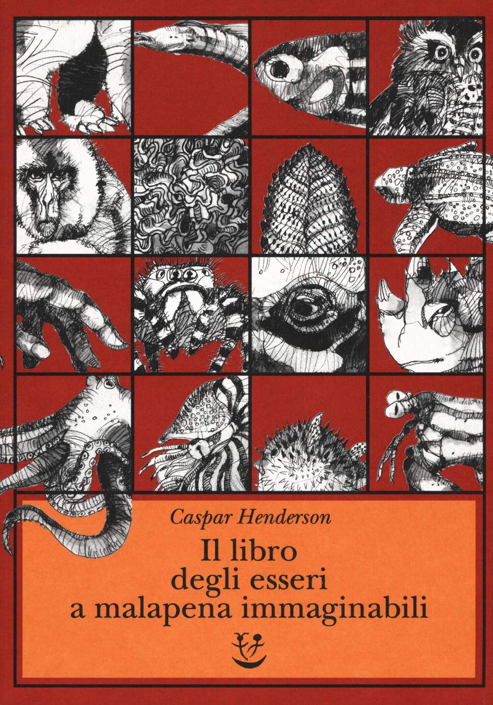Risultati immagini per il libro degli esseri a malapena immaginabili