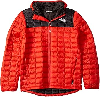 the north face youth jacket