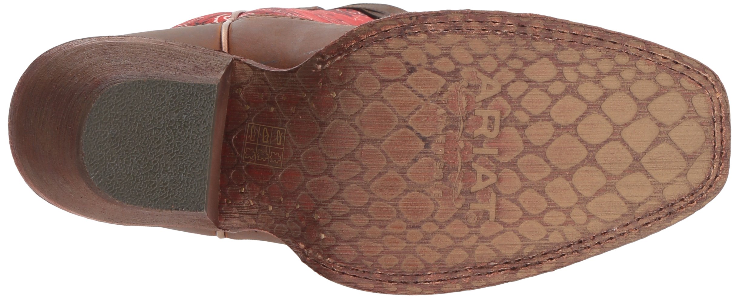 ariat circuit cheyenne
