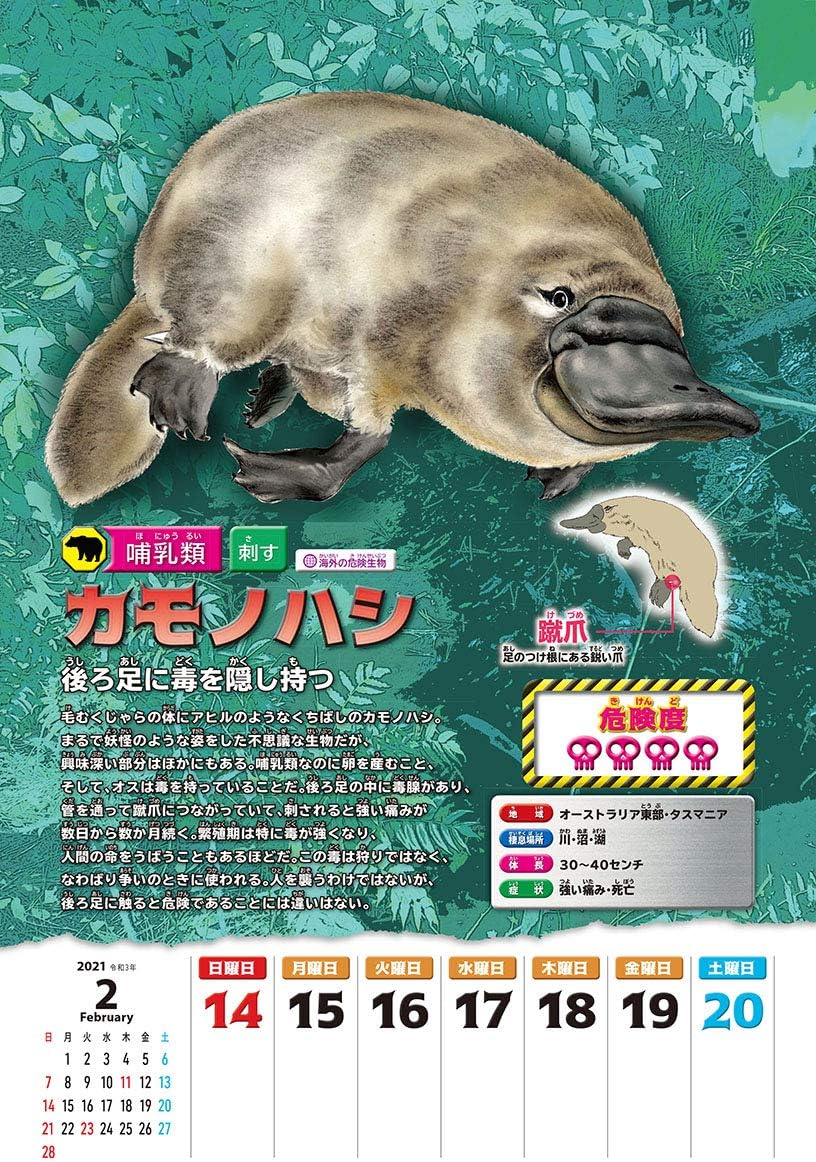 Amazon トライエックス 加藤英明の超危険生物カレンダー 21年 カレンダー 壁掛け Cl 626 文房具 オフィス用品 文房具 オフィス用品 Amazon トライエックス 加藤英明の超危険生物カレンダー 21年 カレンダー 壁掛け Cl 626 文房具 オフィス用品 文房具 オフィス用品