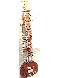 Shop Amazon.com | Sitars