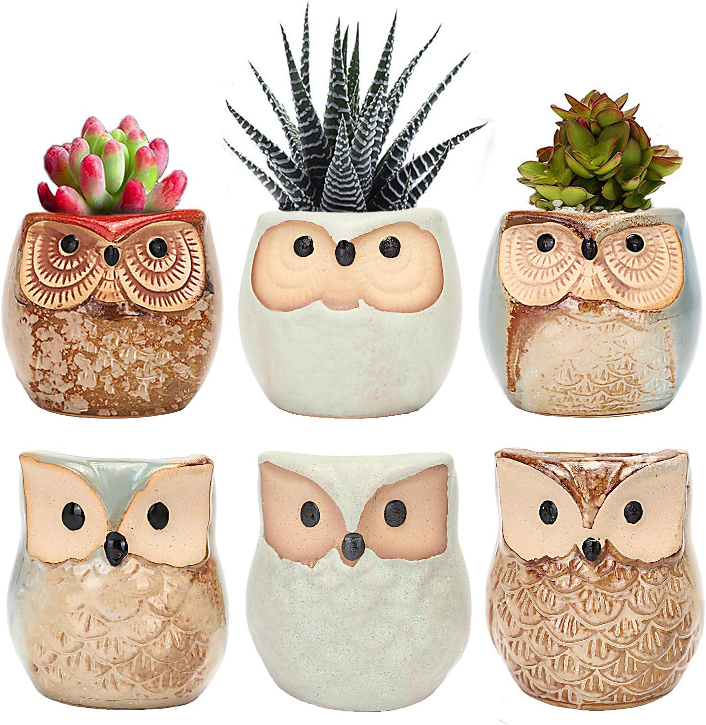 Succulent Planter Pots Owl Ceramic - Small Planter Pots with Drain Hole & Mesh Pad Small Cactus Flower Plant Bonsai Container Gift for Office Coworkers Friends Home Decoration Pack of 6