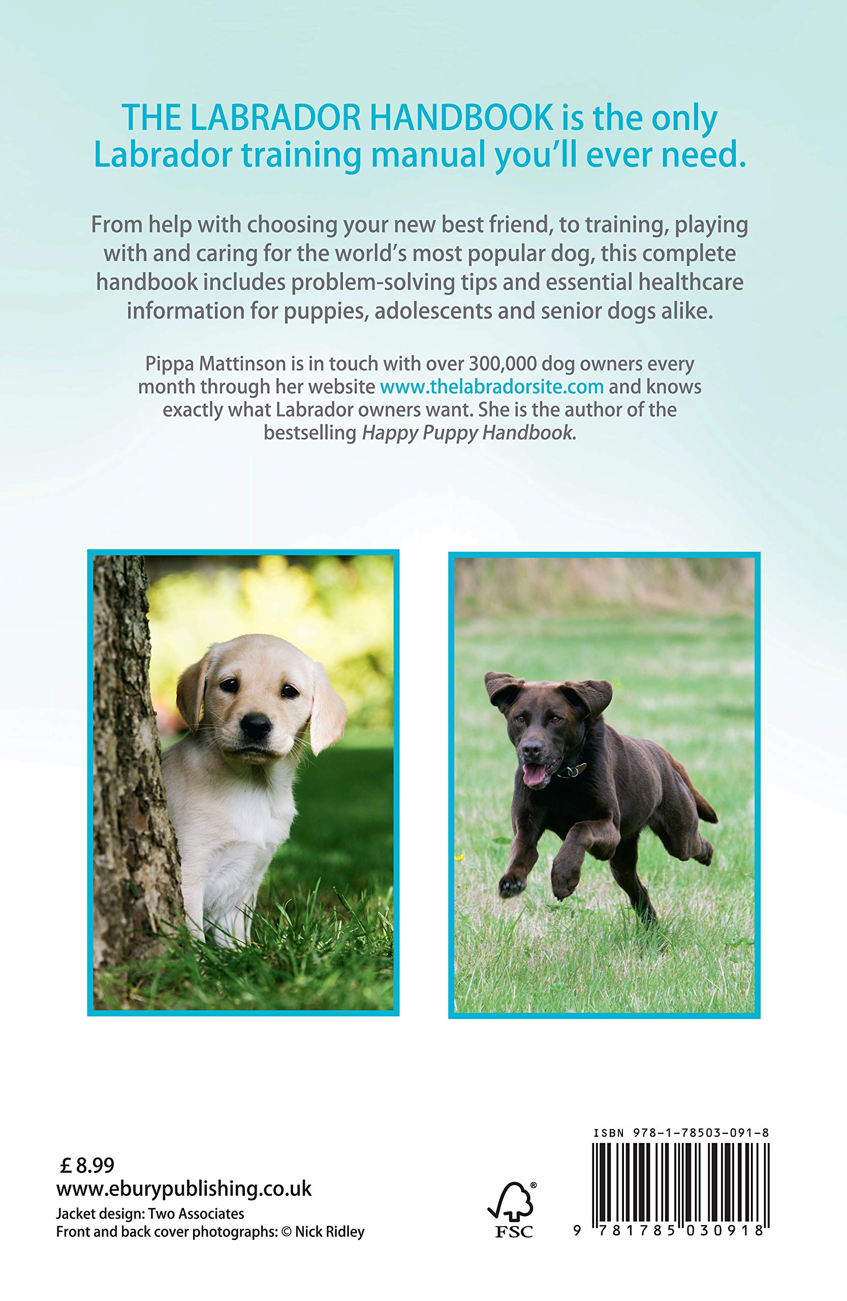 The Labrador Handbook: The definitive guide to training and caring for your  Labrador: Amazon.co.uk: Pippa Mattinson: 9781785030918: Books