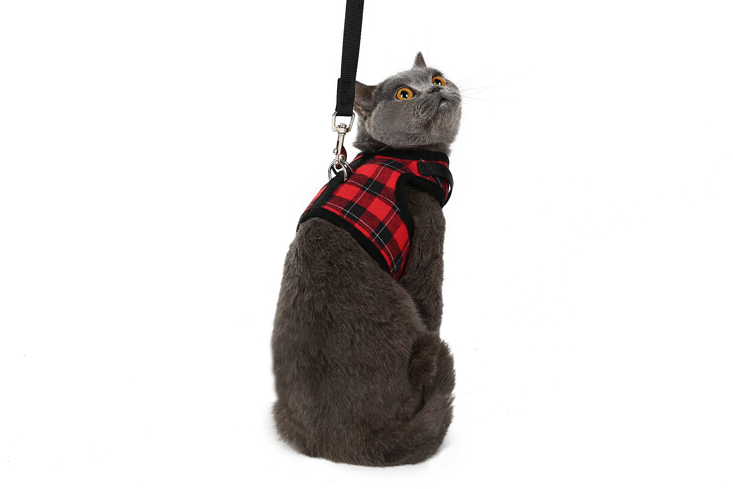 Escape Proof Cat Harness With Leash Holster Style Adjustable Soft
