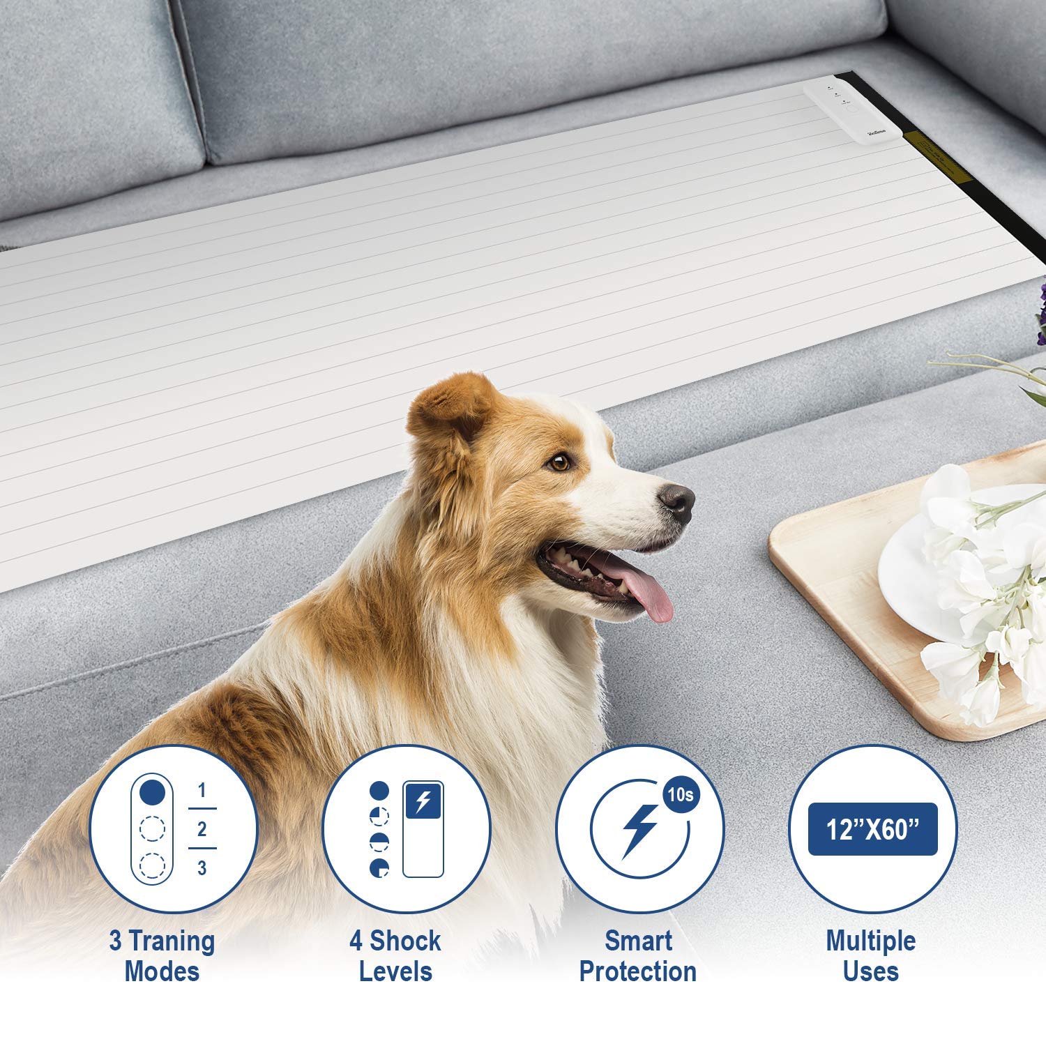 static mat for dogs