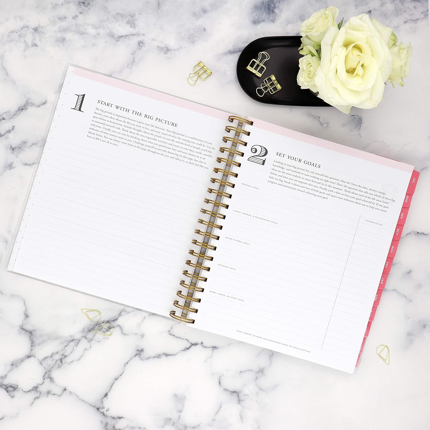 Day Designer for Blue Sky 2020-2021 Academic Year Daily & Monthly Planner, Frosted Flexible Cover, Twin-Wire Binding, 8" x 10", Black Stripe (120053) : Office Products