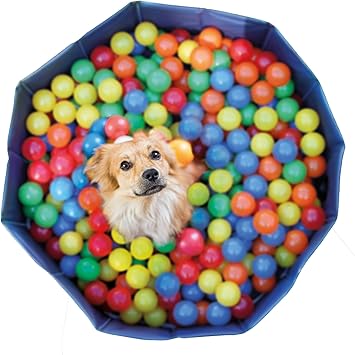 dog ball pool