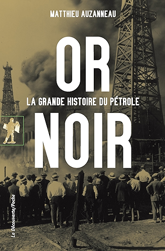 Download Or noir (POCHES ESSAIS) PDF