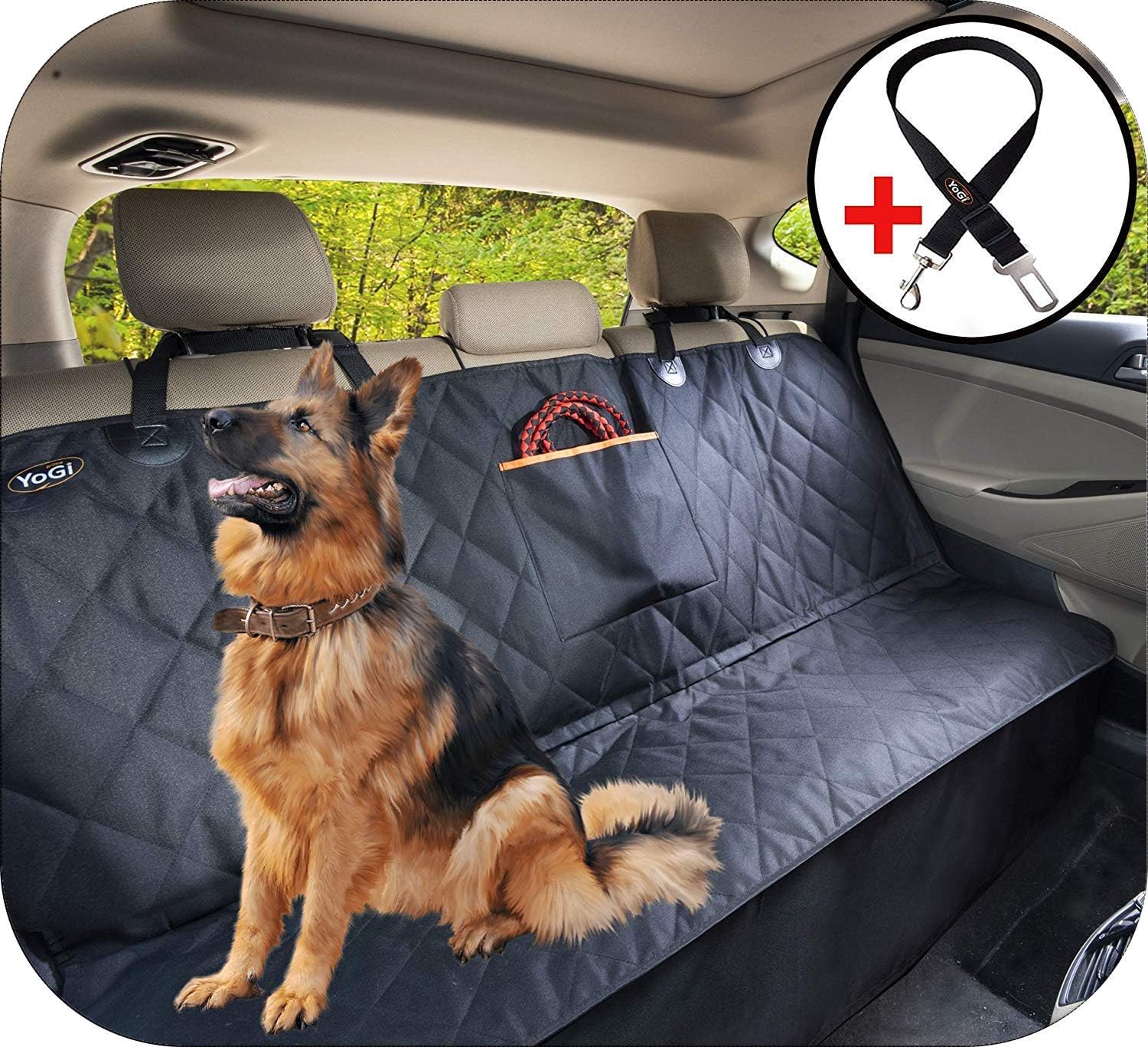 vca anderson animal hospital