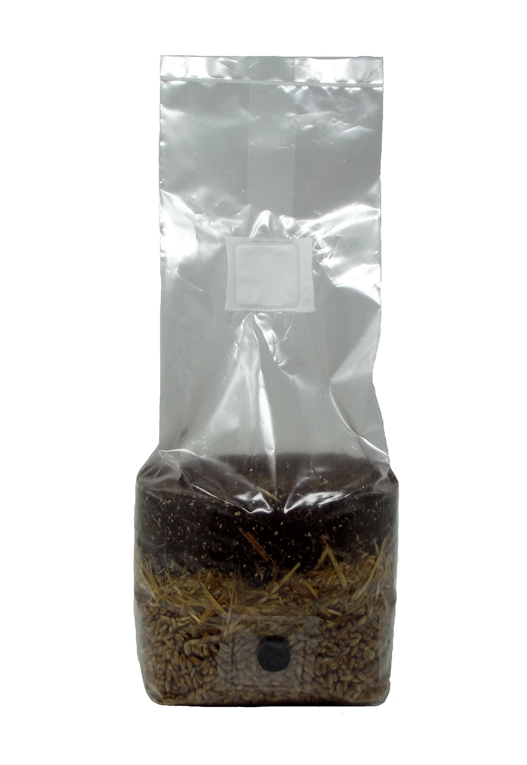 All in One Mushroom Grow Bag