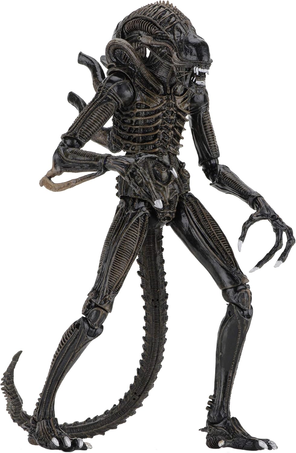 NECA Alien Brown Ultimate Warrior 1986 23cm Scale Action Figure Aliens, Color (NEC0NC51683, Marrón, 6 inches - Image 4