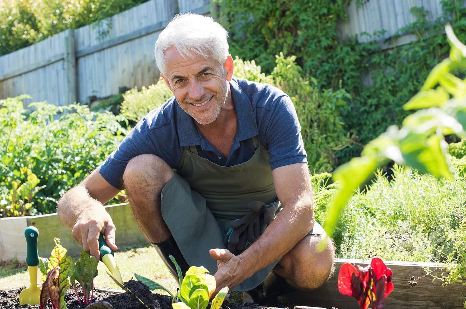Alquiler de Huertos ecológicos en Madrid | 3 meses x 34,95 ...