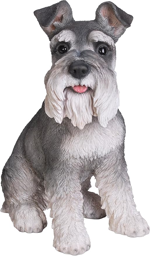 grey schnauzer dog