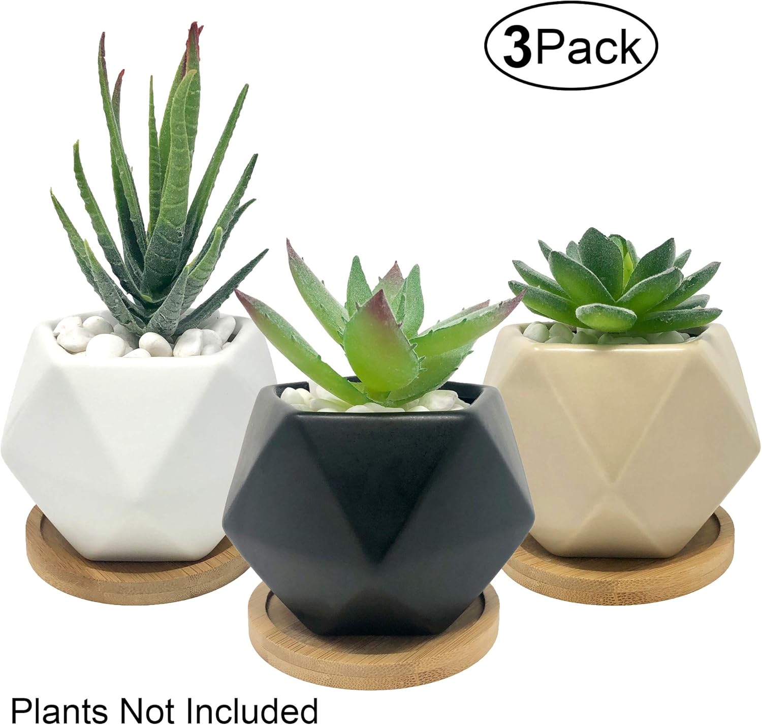 The 15 Best Pots for Succulents of 2023 Best Garden Tips