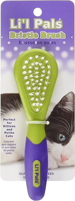 kitten hair brush