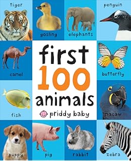 first 100 words bright baby