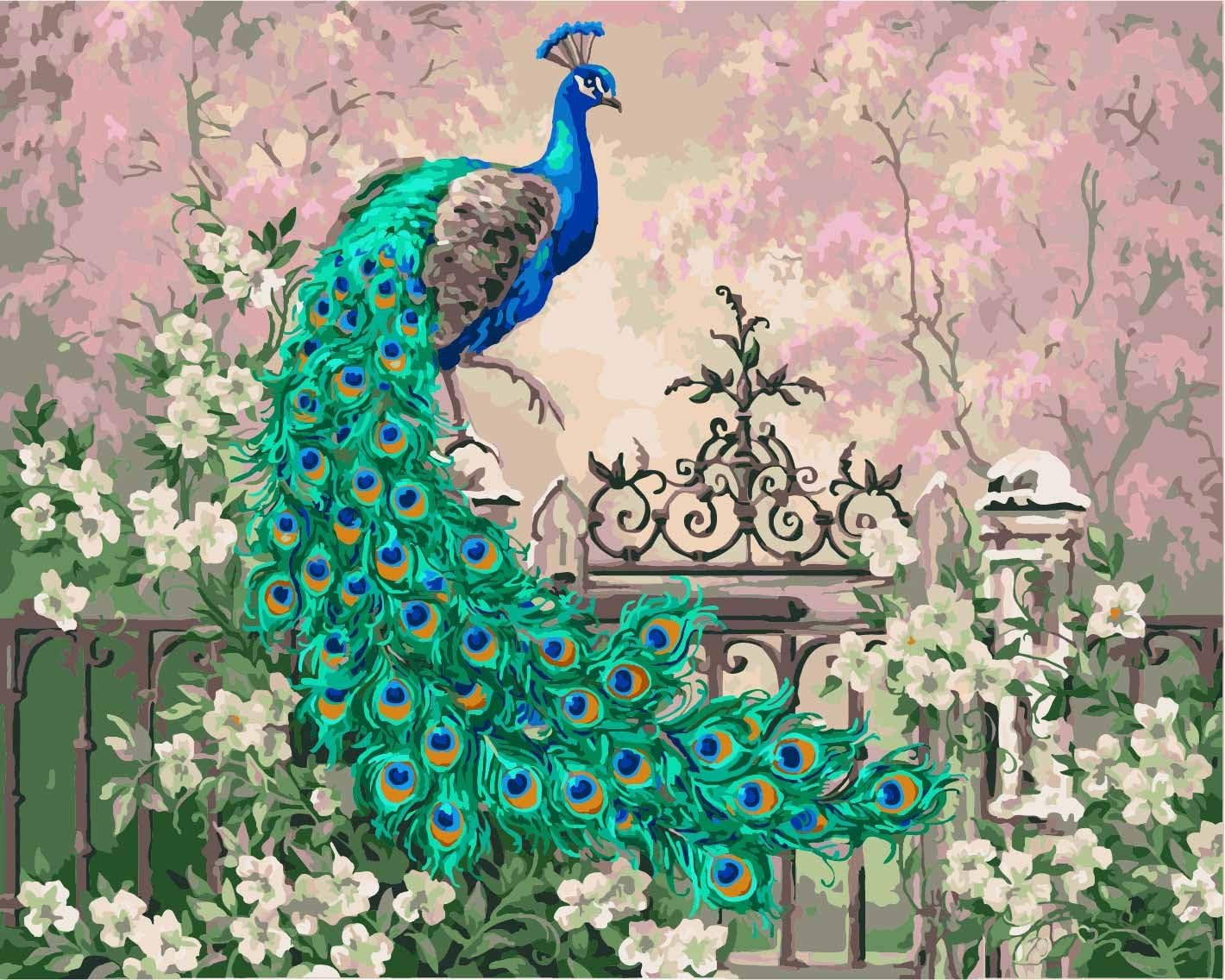 CaptainCrafts New DIY Paint by Numbers 16x20 " for Adults Beginner kit LINEN Canvas - Amazing Peacock Yutai Linghua (With Frame)
