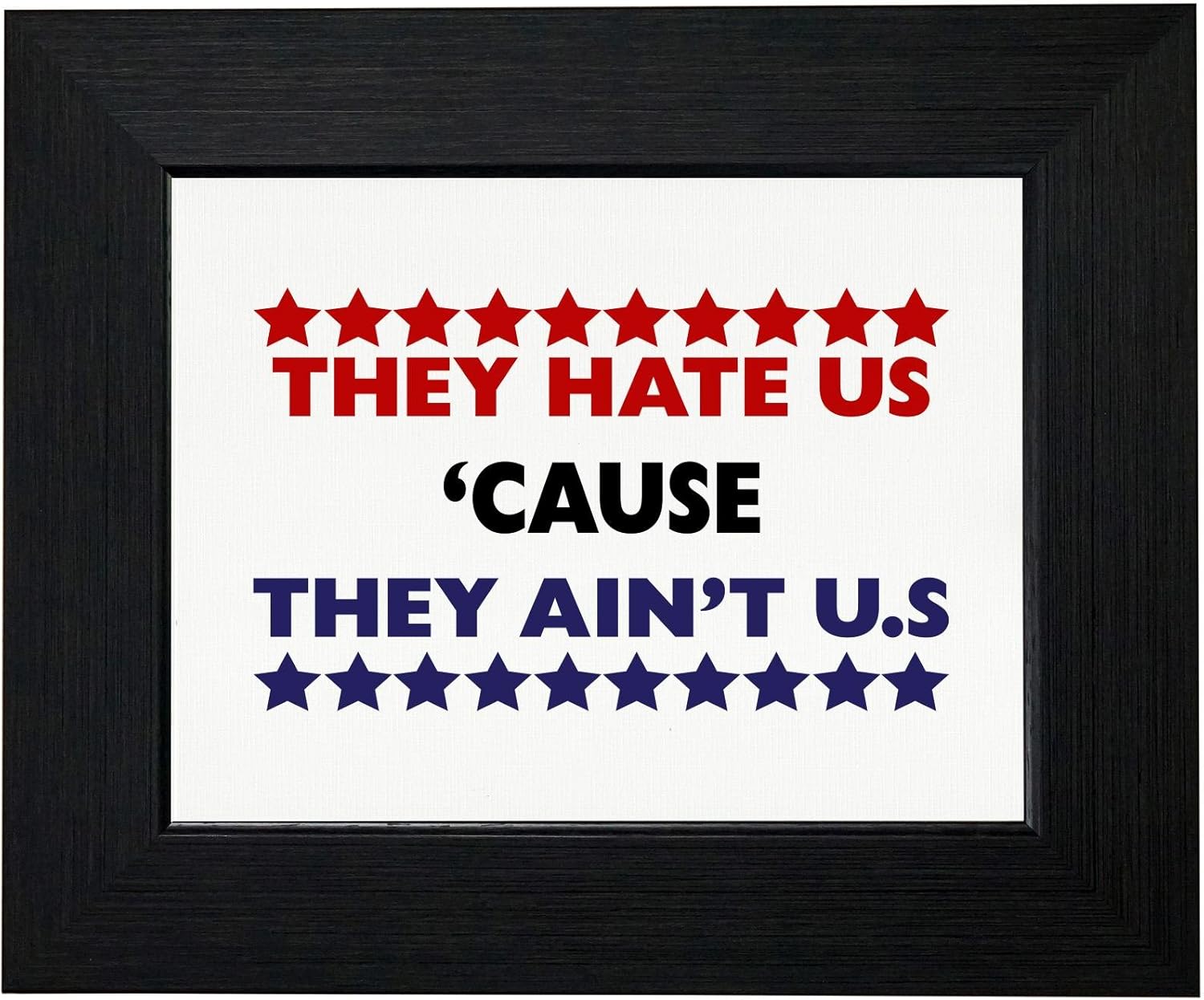 Royal Prints They Hate Us 'Cause They Ain't Us USA Framed