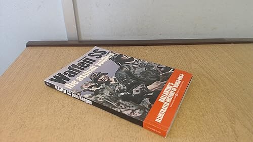 Download BT-WAFFEN SS PDF
