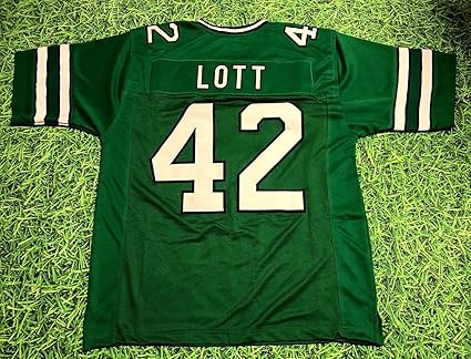 ronnie lott jersey stitched