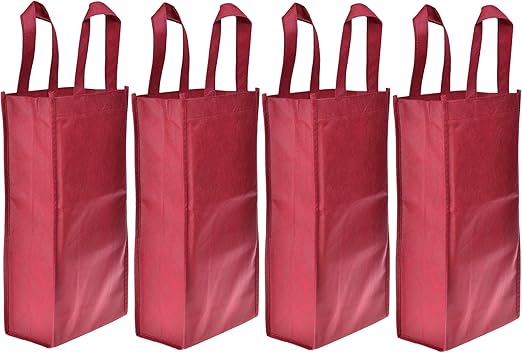 two bottle wine gift bag