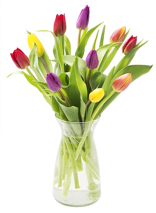 Assorted Tulip Bouquet of Red, Orange, Purple & Yellow Tulips from Holland (10 Stems) with Vase - by KaBloom