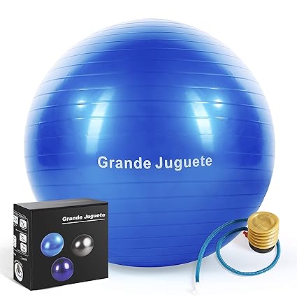 Grande Juguete Exercise Stability Yoga Ball(45-65CM) Support 2000lbs with Quick Foot Pump-Extra Thick & Professional Balance Ball Grade Anti Burst,No ...