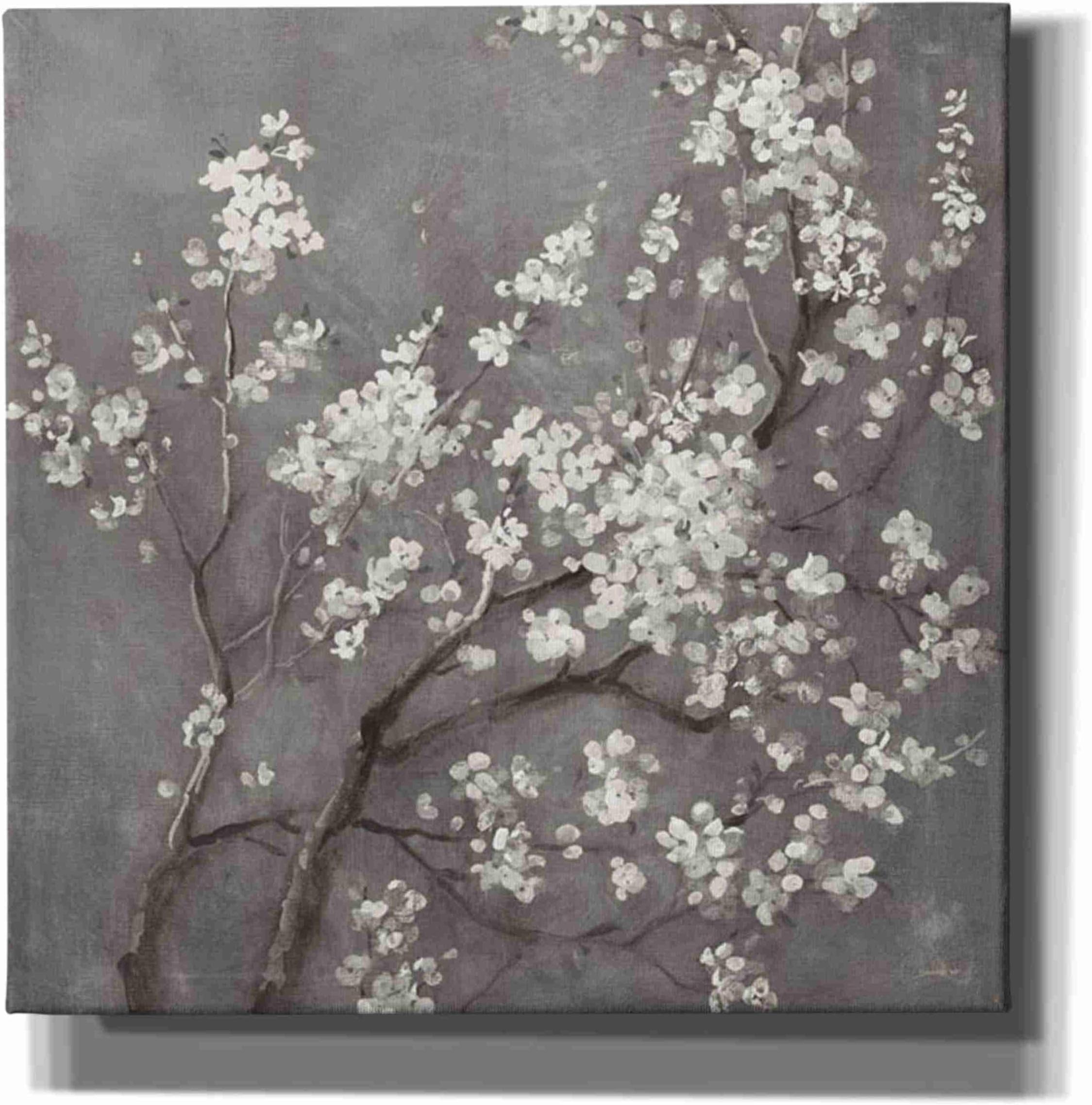 Epic Graffiti White Cherry Blossom I on Grey by Danhui NAI Giclee Canvas Wall Art, 37" x 37"
