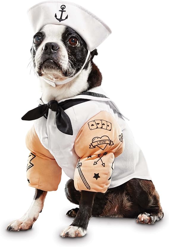 dog sailor suit