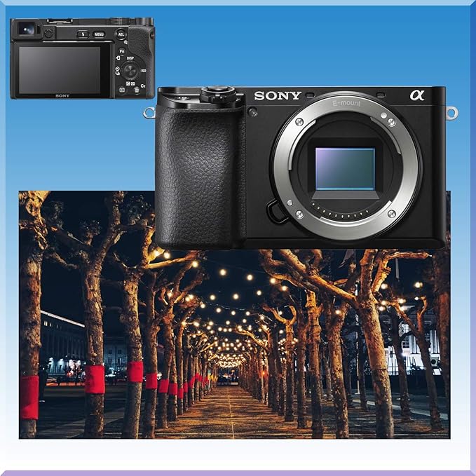 Sony Alpha a6100 Mirrorless Digital Camera with 1650mm