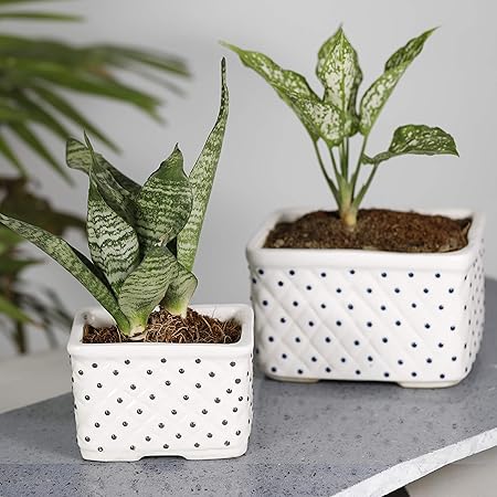 Earthsoul Ceramic Rectangle pots for Gardening | Pot of Plants & Flowers for Kitchen, Living Room, Home and Office | Pot for Indoor Plants| Ceramic Planters