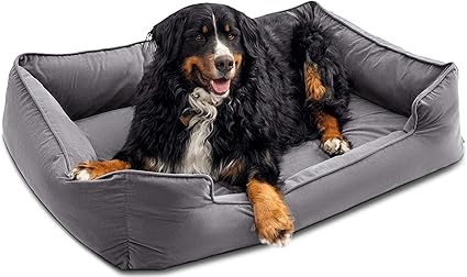 clearance dog beds large