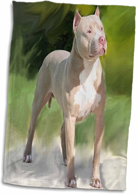 印刷 ピットブル 犬 画像 無料のhd壁紙