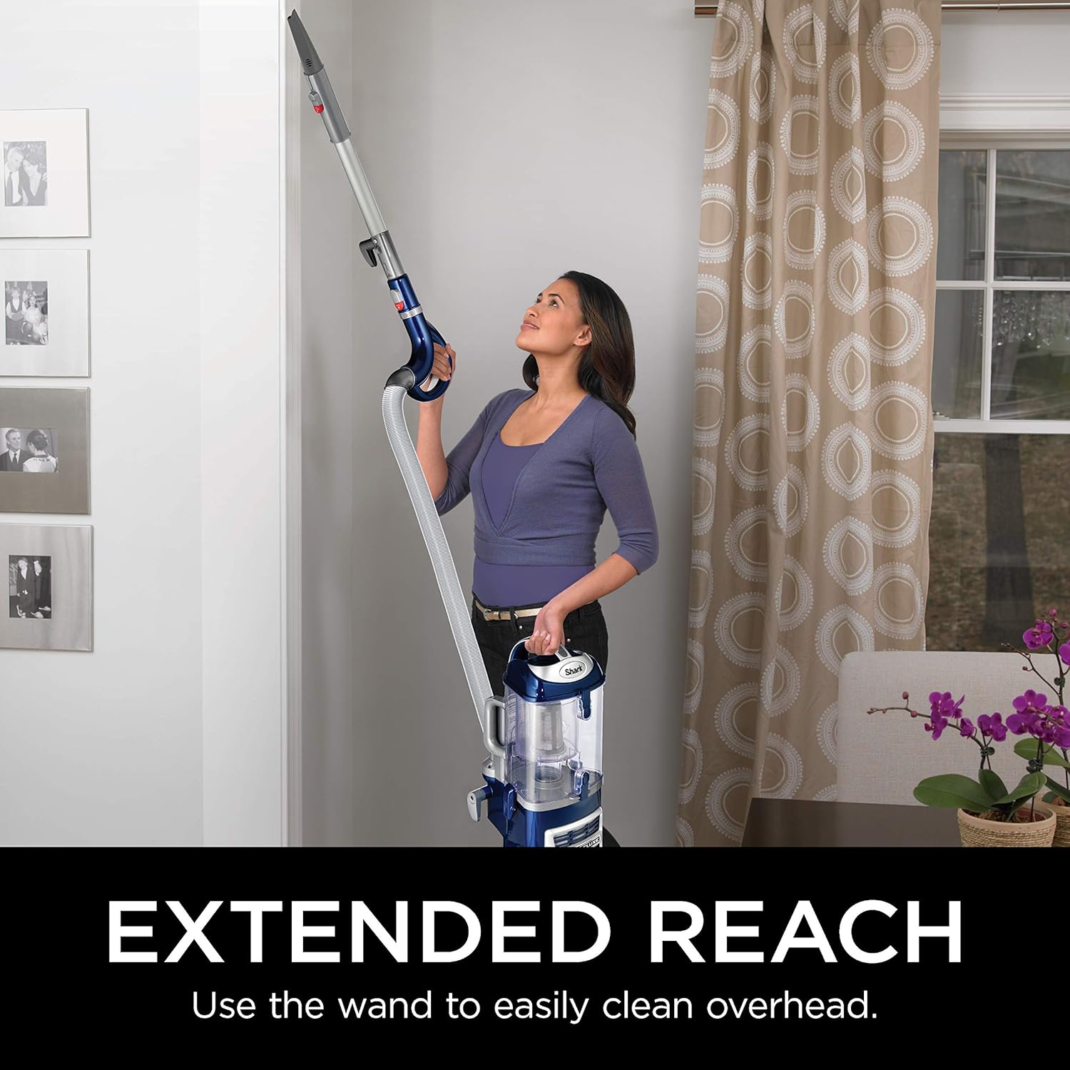 Shark Navigator Lift-Away Deluxe NV360 Upright Vacuum, Blue -