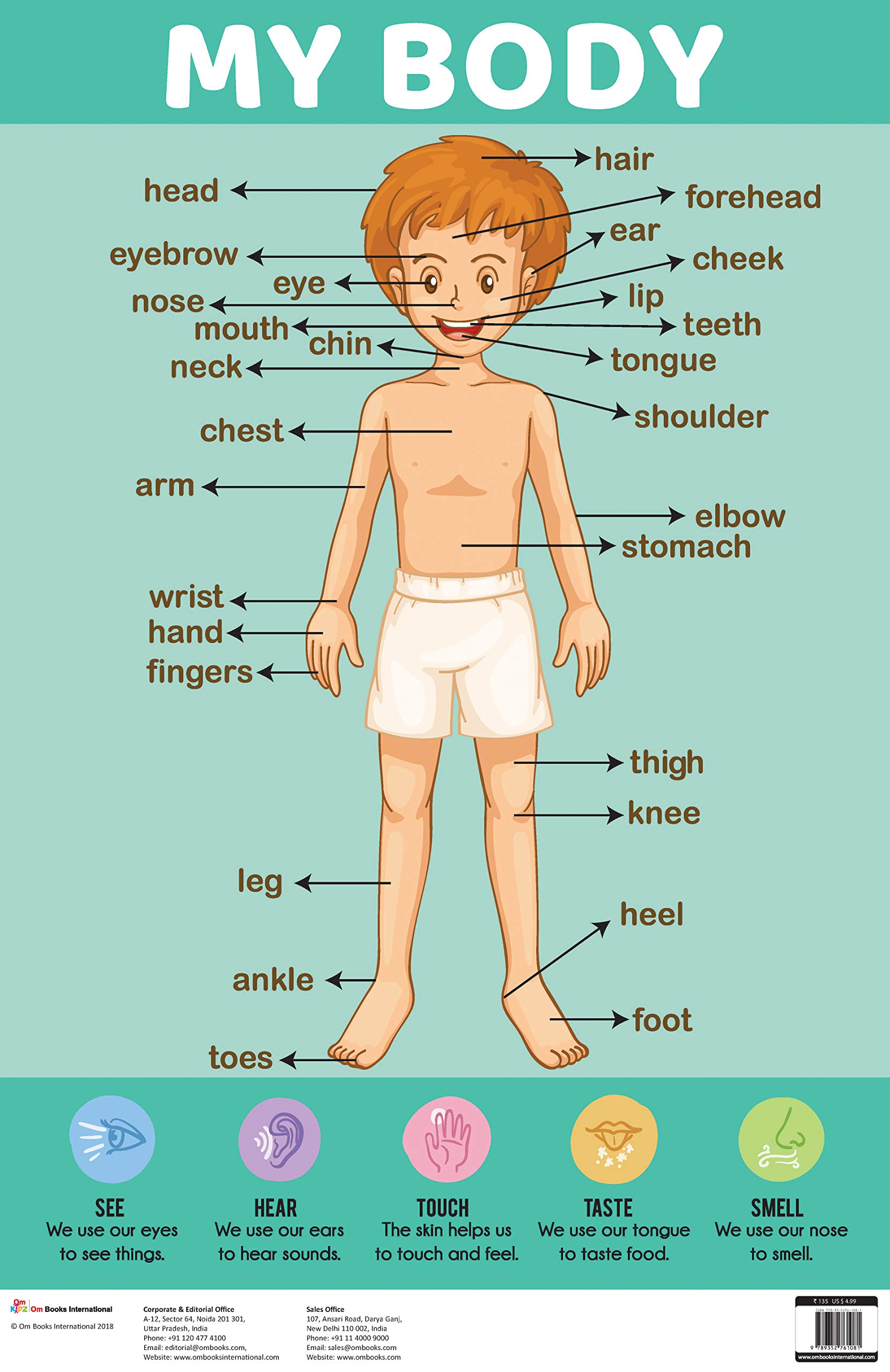 My body my choice. английский my body. части тела на английском. My body my choice. Your body mine.