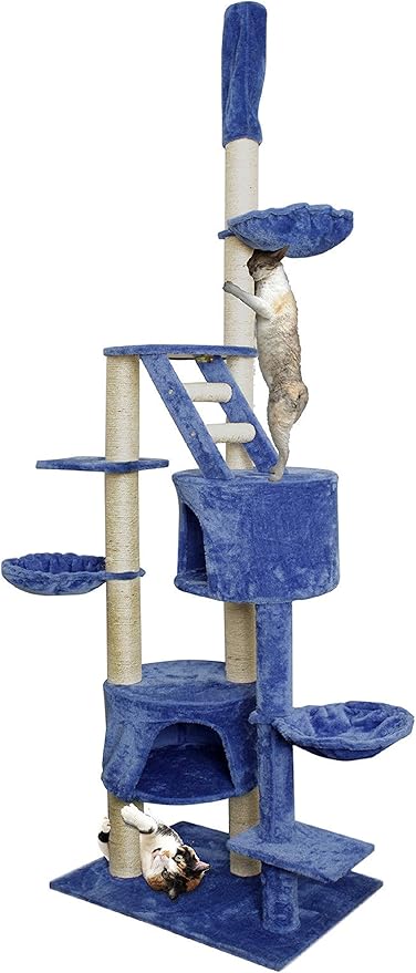 cat tree blue