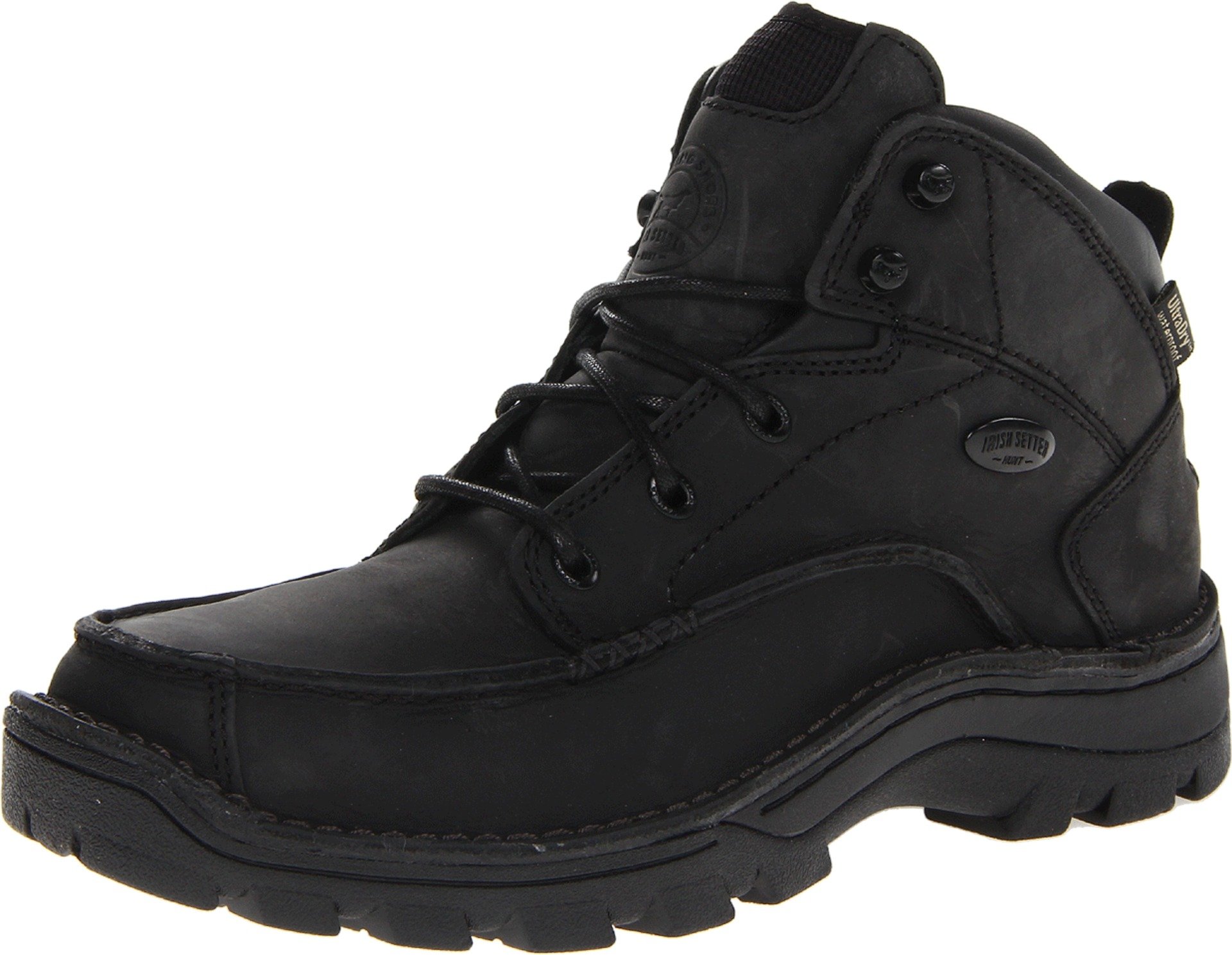 irish setter borderland