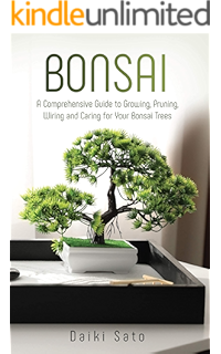 Bonsai A Beginner S Guide On How To Cultivate And Care For Bonsai