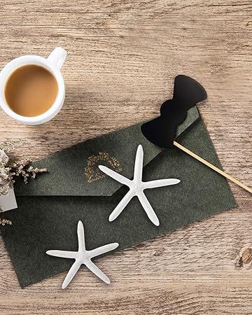 Download Seestern dekor For Free