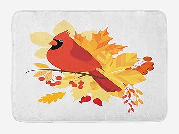 Soefipok Tapis De Bain Cardinal Saison Dautomne Avec Un