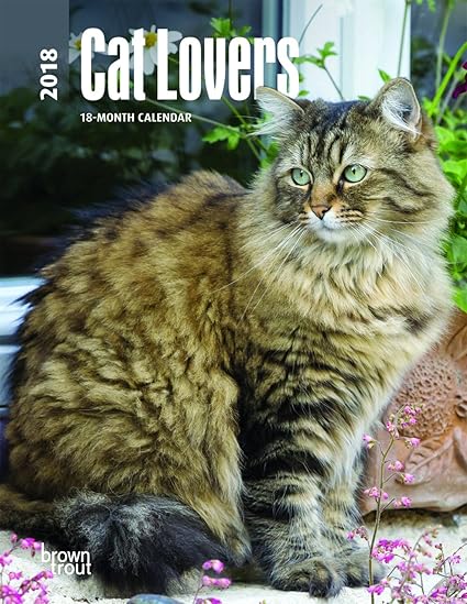 Agenda 18 19 Gatos Todo Gatos