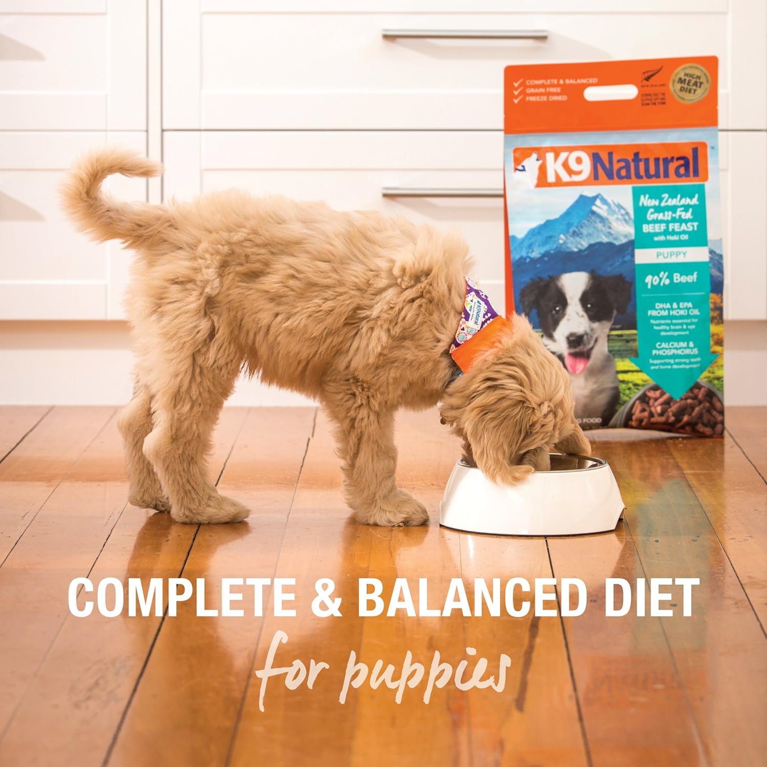 k9 natural puppy food