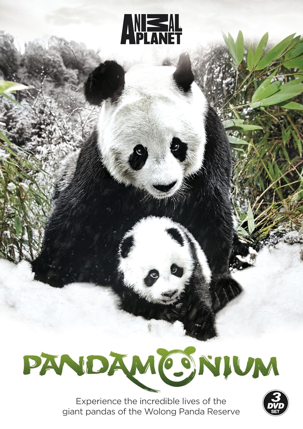 Pandamonium [DVD] [UK Import]: Amazon.de: DVD & Blu-ray