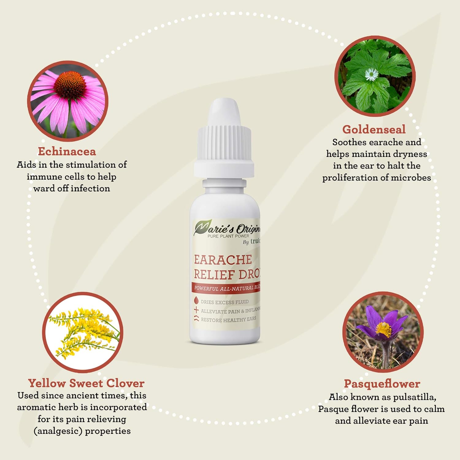 Natural Earache Drops for Ear Infection Prevention, Pain Relief, Swimmer's Ear - Homeopathic, Holistic, Vegan Herbal Ear drops for Adults, Children - Made in USA, Healthy, Safe for Kids: Health & Personal Care