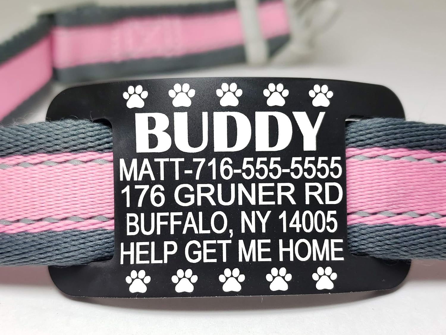 alamo city house rabbits