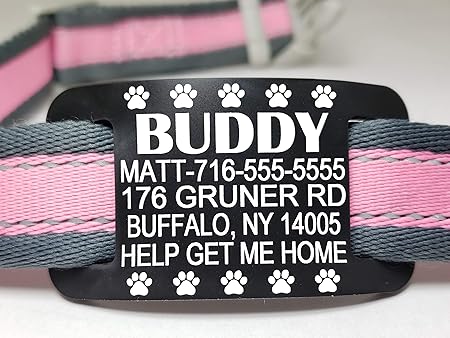 slide on cat collar tags