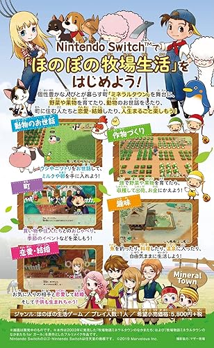 Amazon Com Harvest Moon Friends Of Mineral Town Remake Japan Import Video Games Amazon Com Harvest Moon Friends Of Mineral Town Remake Japan Import Video Games