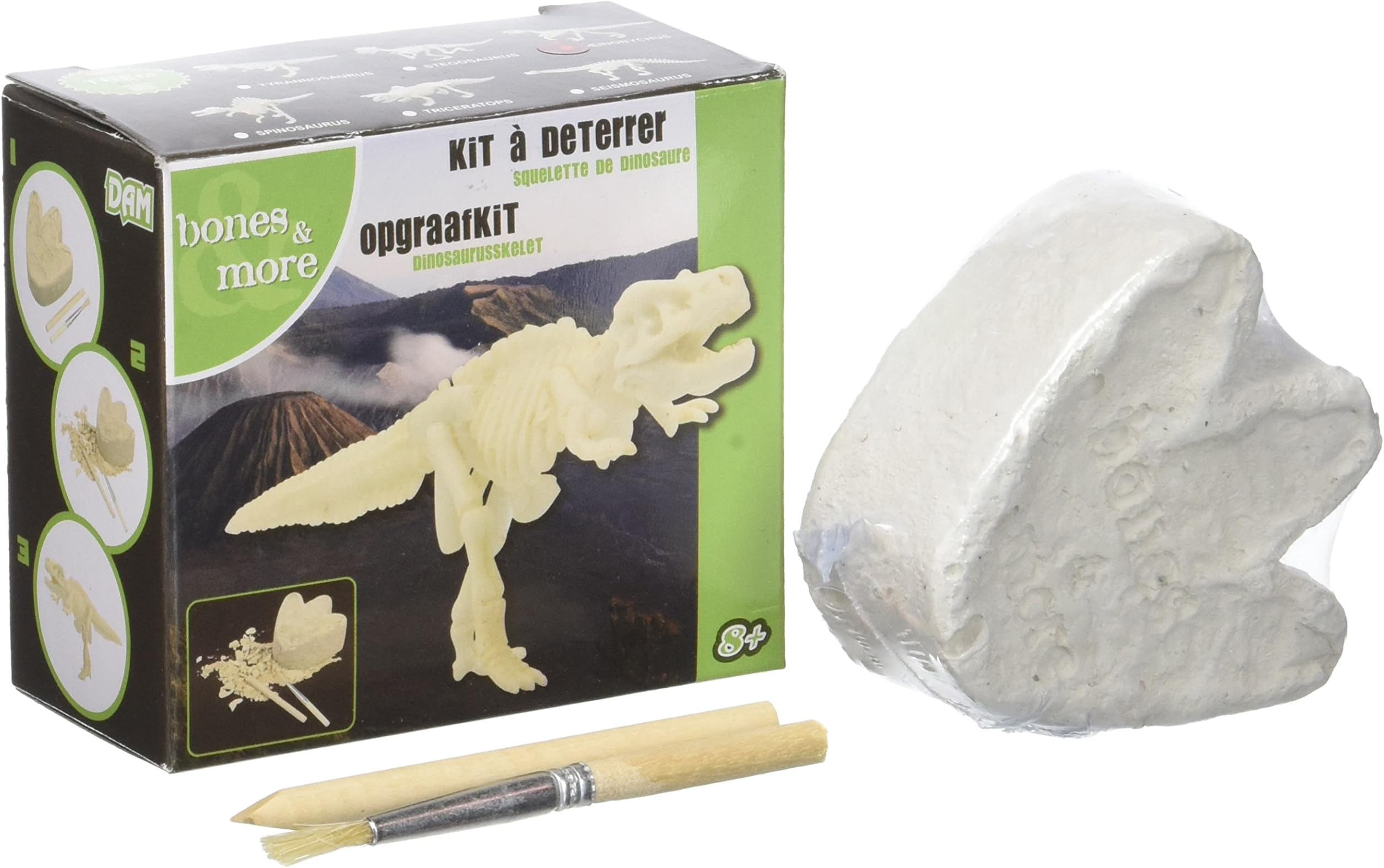 Dinosaur Skeleton Educational Game – Become Paleontologist – Scratch, Scroll, Digger, Discover