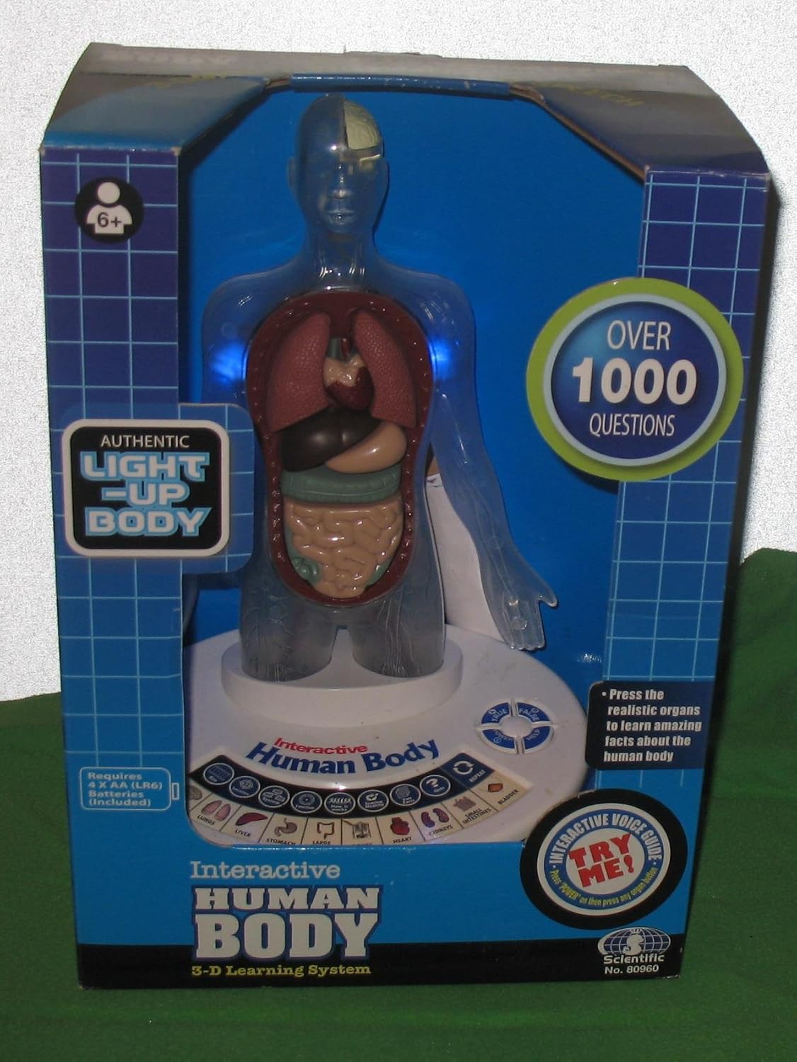 human body toy for 5 year olds